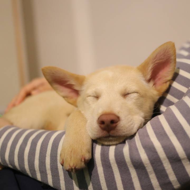 Db501820 440d 4519 b9cd fc60178502cf