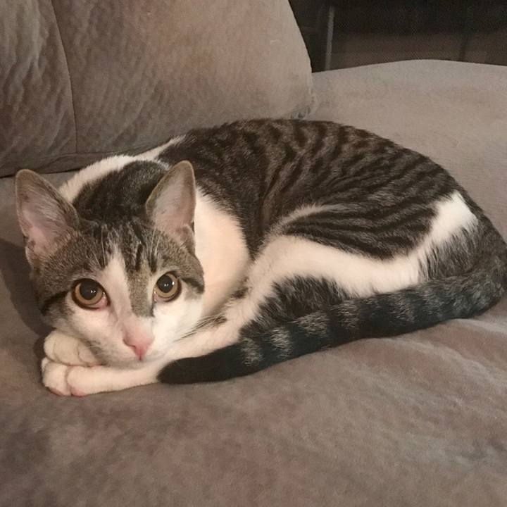 Db504565 9046 4f96 b7e1 9bde95a0ce3c