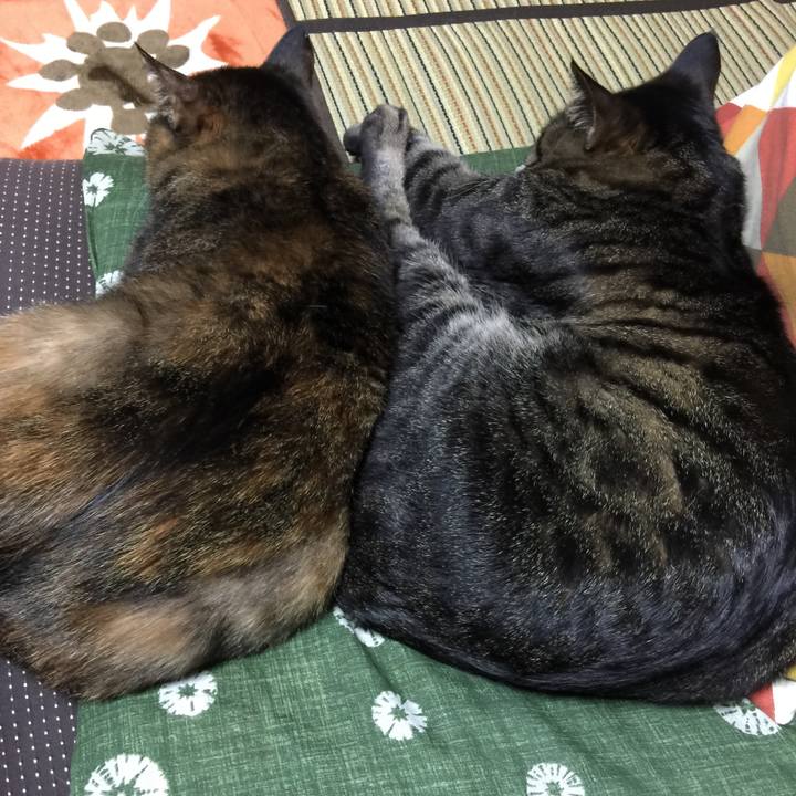 Db50cd66 9223 4ef0 84fe df4a08eec726