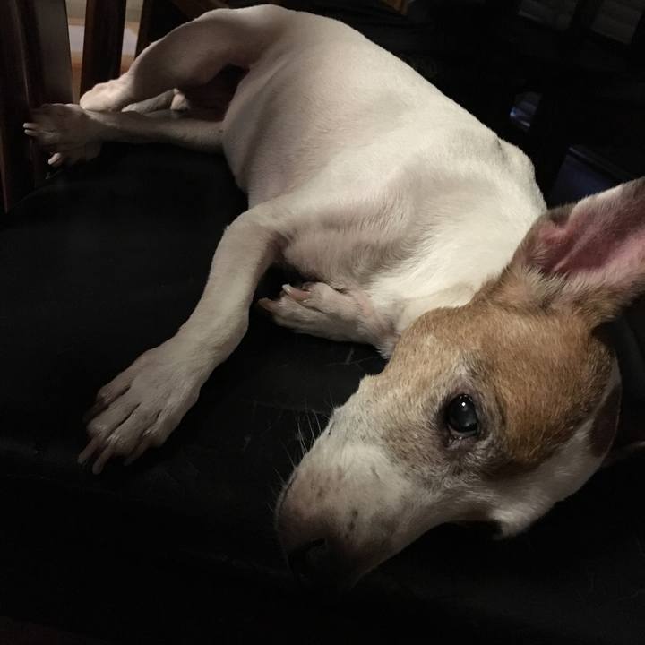 Db513512 c27b 45b7 ae86 5fcce6edefd7