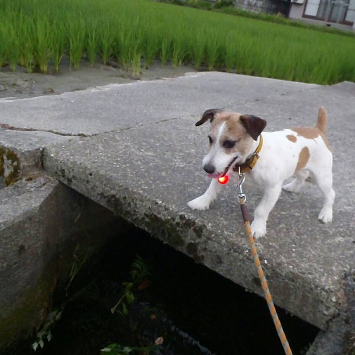 Db51a357 0d1b 46ee b858 339cafc829a7