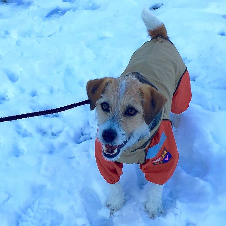 Db5235b8 f832 4e87 9b43 db8f36394b03