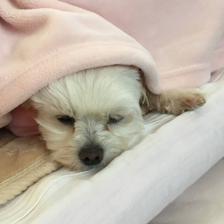 Db527404 a51d 4e3c a3ef bbc7e7ea9802