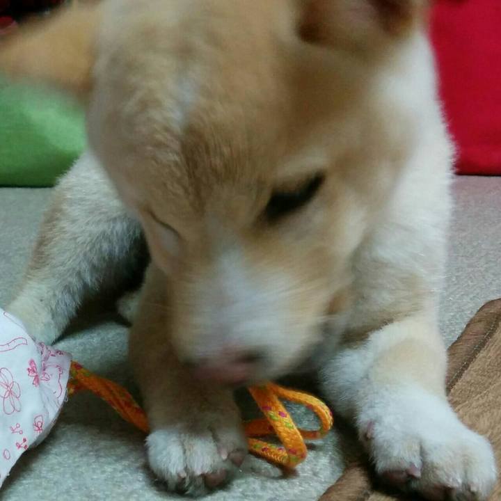 Db52d343 b100 41f1 b560 8d5c5c0388c8