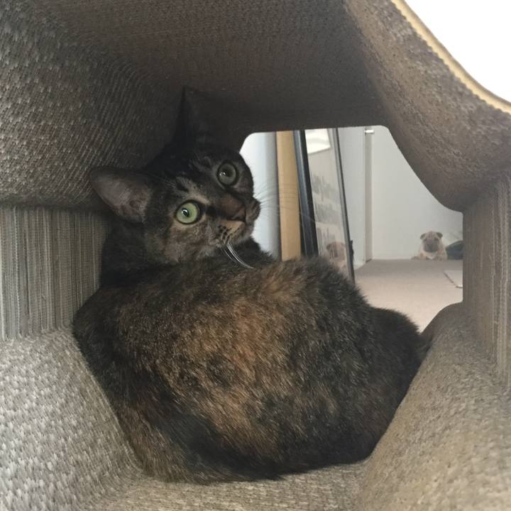 Db530509 0e09 408f 85f2 e4e536b1853a