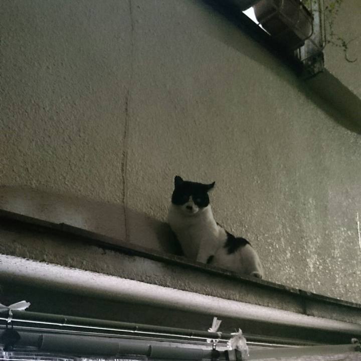 Db5445f3 08df 461c 9a56 15b66440c049