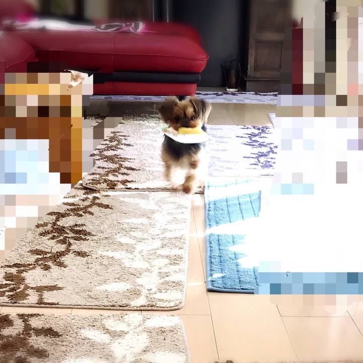 Db54ece2 4888 466d b7ac 87de60543631