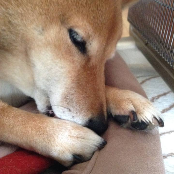 Db55a364 dc7a 4bbe b0b3 63c6123eff7b