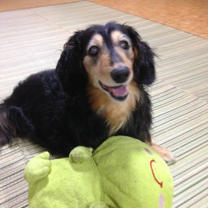 Db560076 70ca 42a4 9bcd c8f0acab8da2