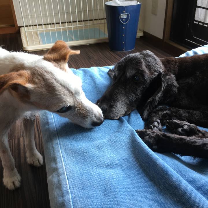 Db5695a4 2e8a 49de bd28 85ded2927cbc