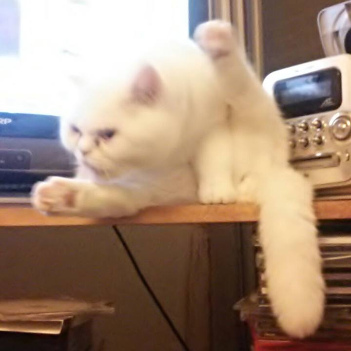 Db569940 cb40 47f6 b277 67a490c5663e