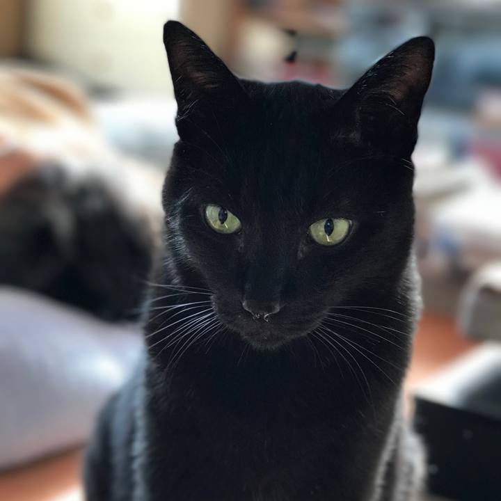 Db56bfd7 600d 4165 afac 01e80be2923a