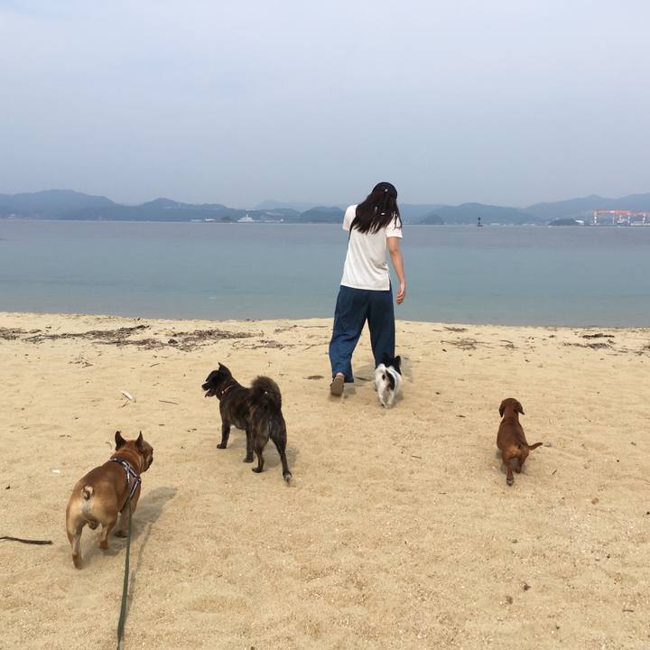 Db56c8e6 ac48 451e b21d 5fff861ebd3d