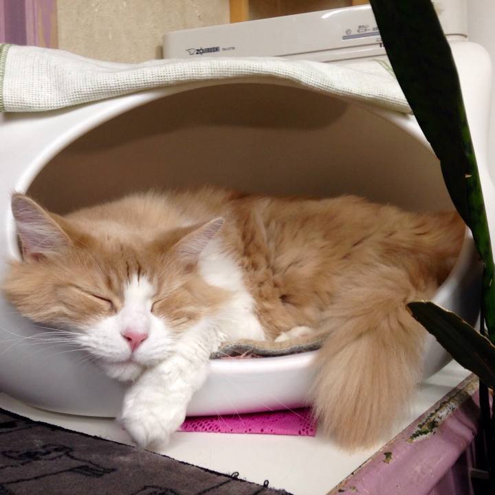 Db56fd7b 9562 44a7 bf8d 61cae073e131