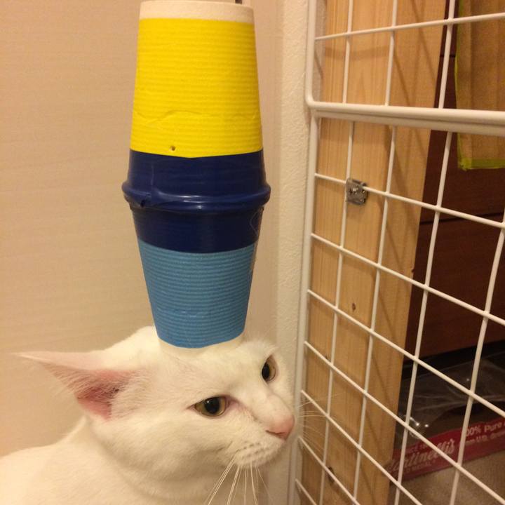 Db57a36a d046 4ba9 a240 7044ba89a634