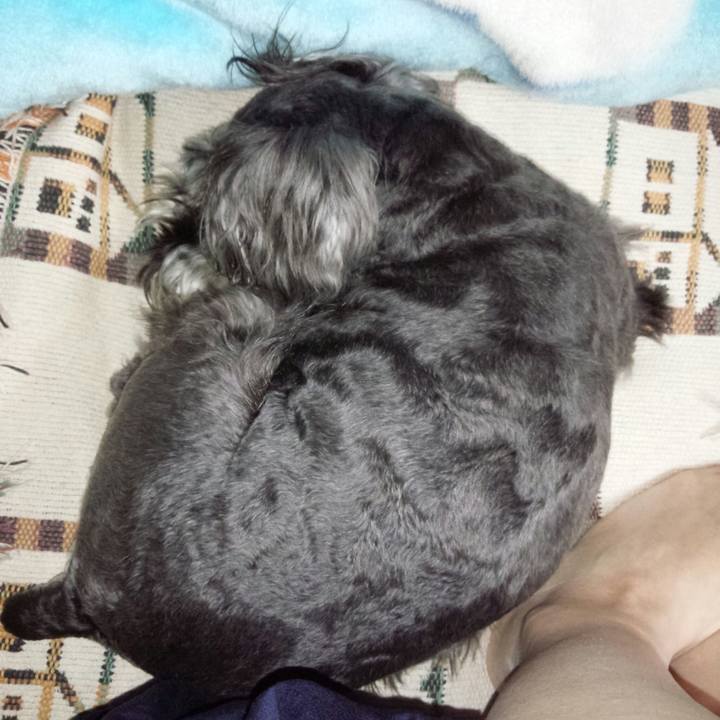 Db57fa81 3f93 466a b88d 037e084254cb