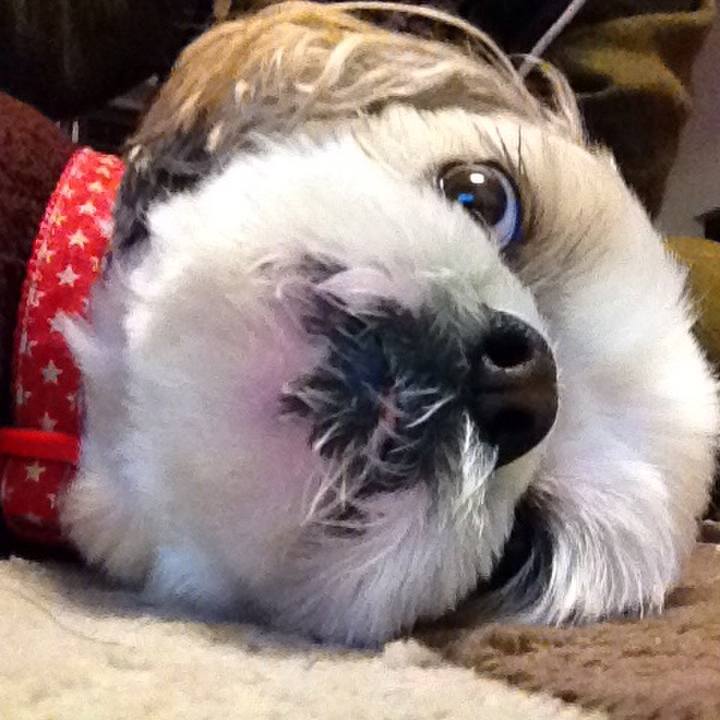 Db58af4a 0377 4d92 8635 f0627f2210a3