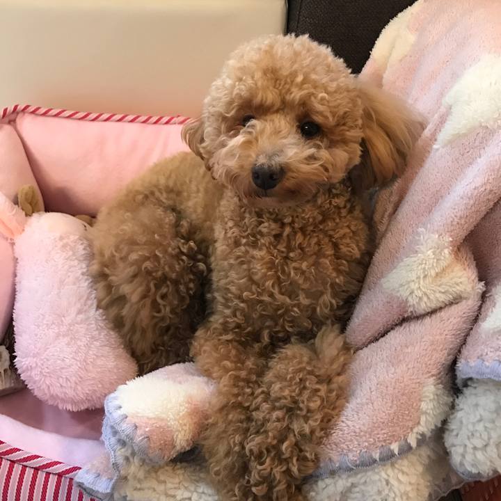 Db59bc7c 02f8 4b49 b0d7 0fa577e754d0