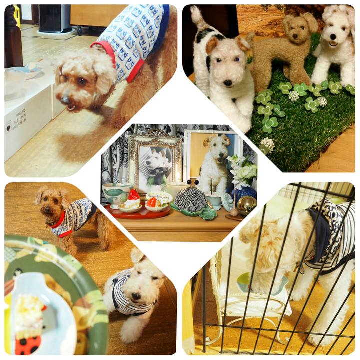 Db59be0d 9675 4f6c 8667 0591f845d0f4