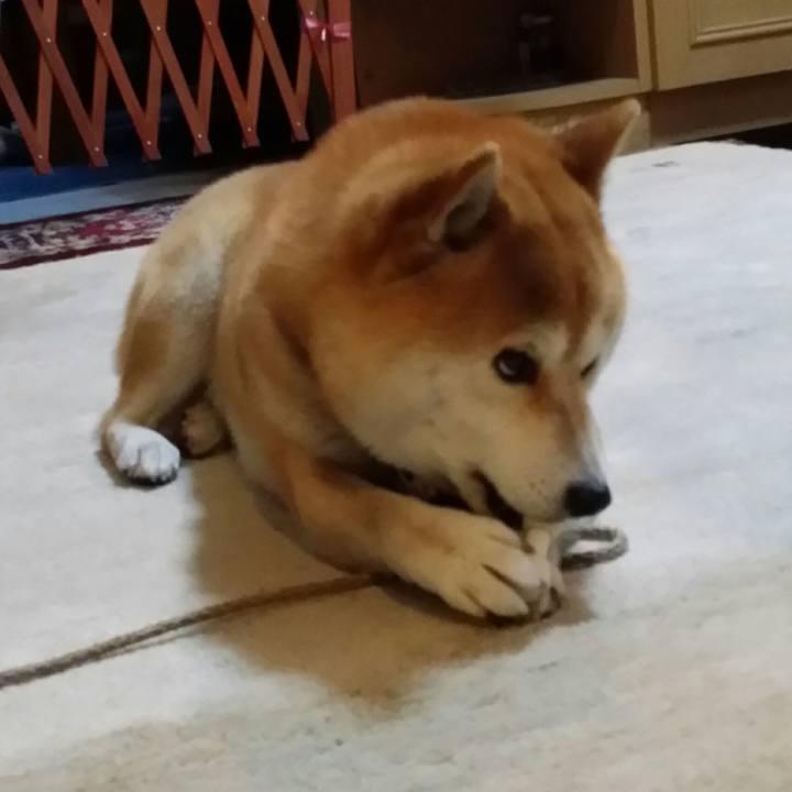 Db5a6543 3a8b 4a65 b78d c4db6aa032bb