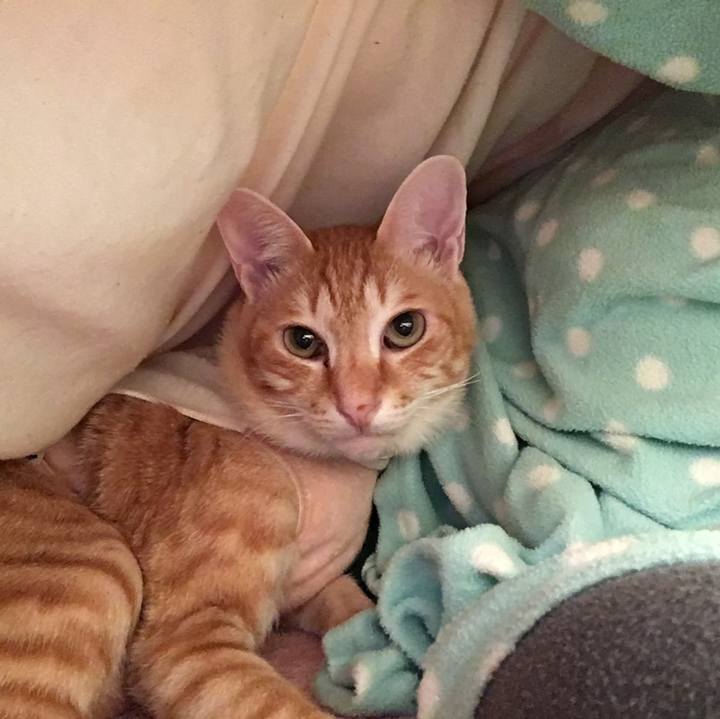 Db5ab81f 32d2 4ca1 bd36 8b6d8aaa6cfb