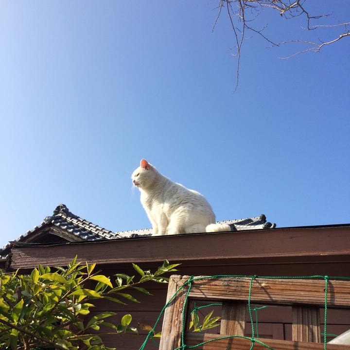 Db5ae597 941f 452c ae29 1c71775e5bd8