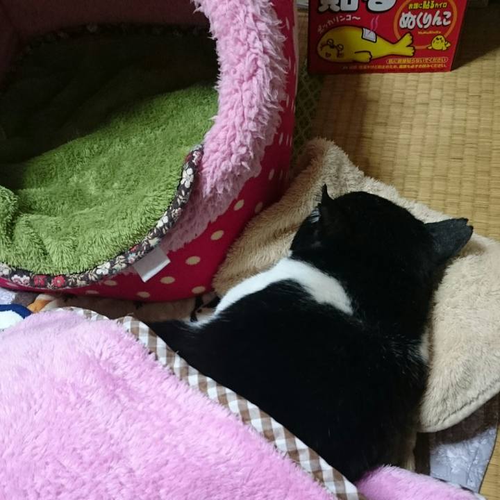 Db5b1e9b b9cc 4293 9ff6 7b59a4110565