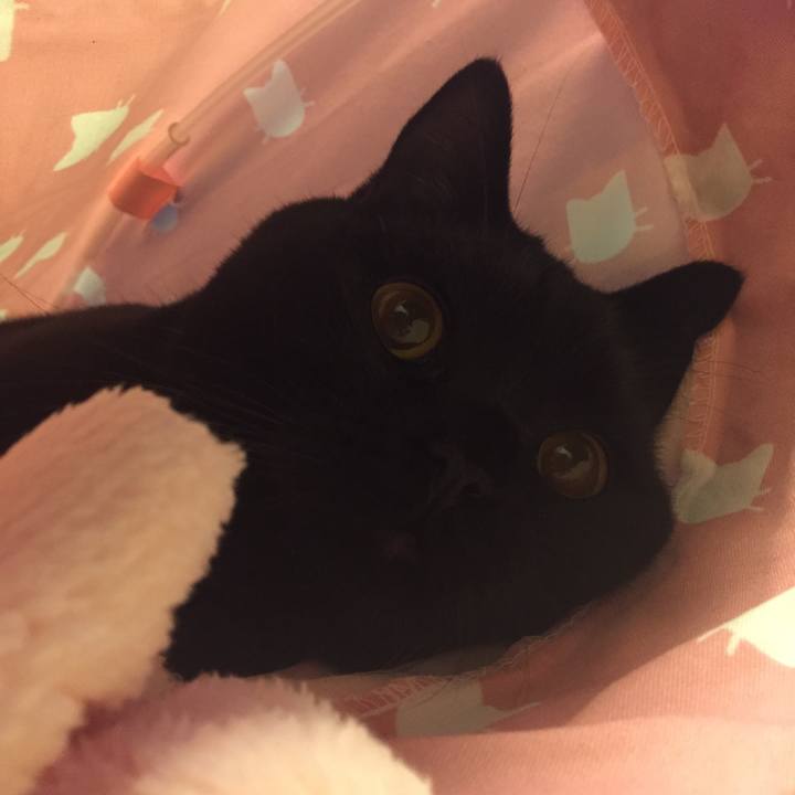 Db5b6578 2eda 4f5d 9050 620748f91756