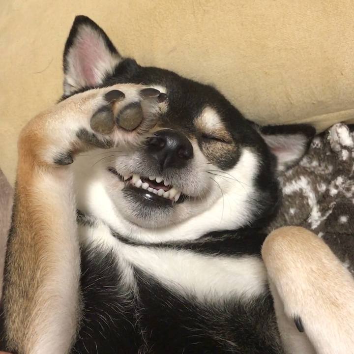 Db5b7a16 54b1 42e8 94c0 07e68d3600c9