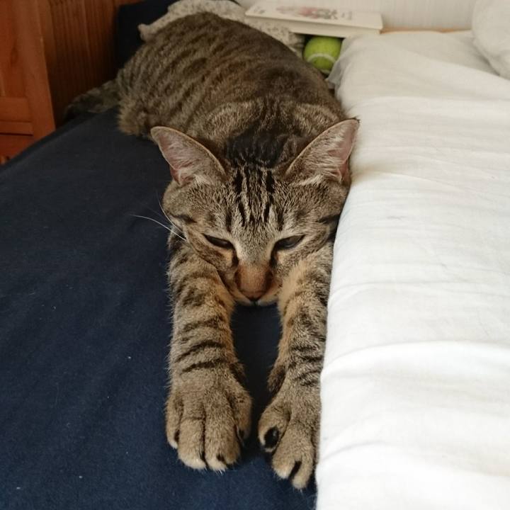 Db5bdc7a 07ac 4220 b001 4f930f2445fa