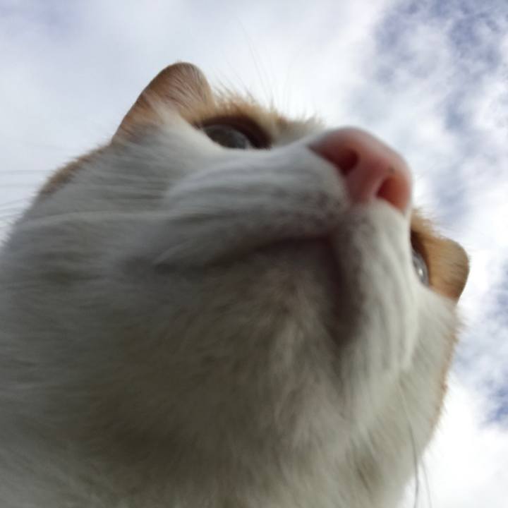 Db5c4d5b bc57 4891 8481 d241139017b1