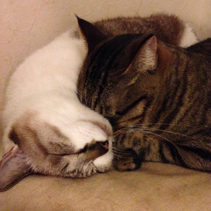 Db5d0e9c ee16 4e03 a1f2 e9ddfe66f1ab