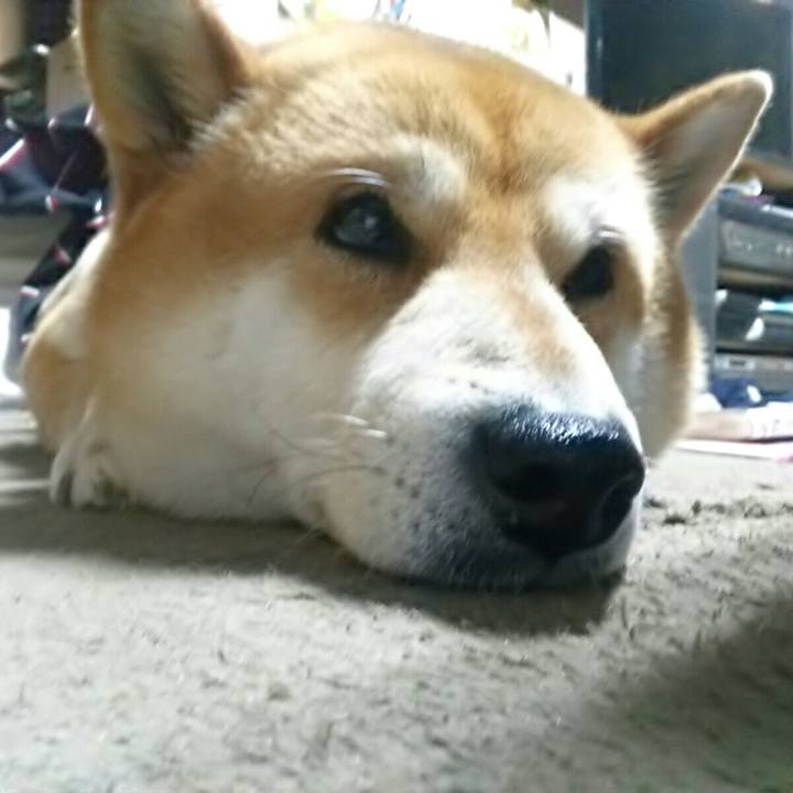 Db5d3202 3dac 47c1 b5f5 1a61727cd505