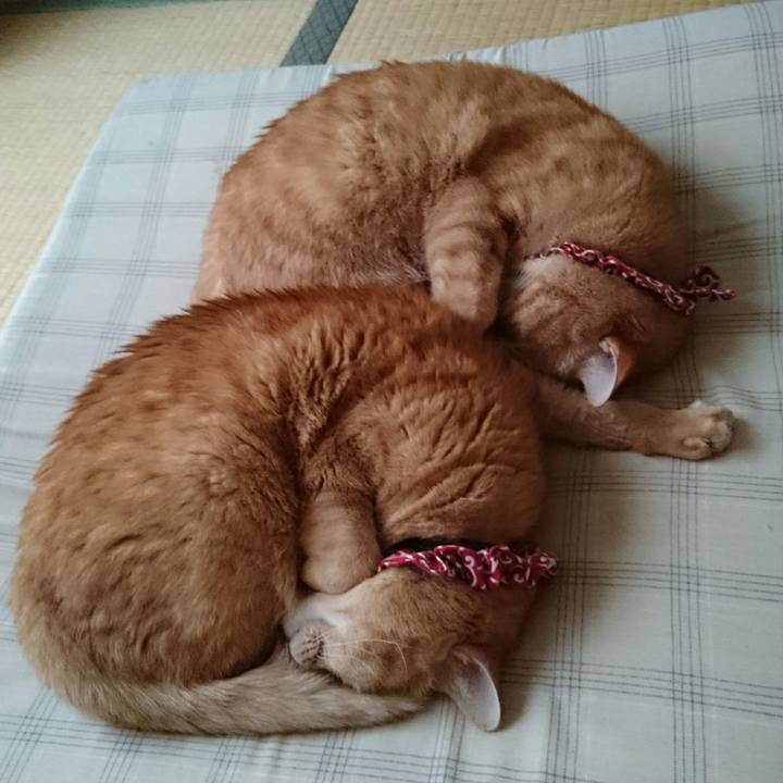 Db5dc437 65f2 497c 875b 9e8d24c545df