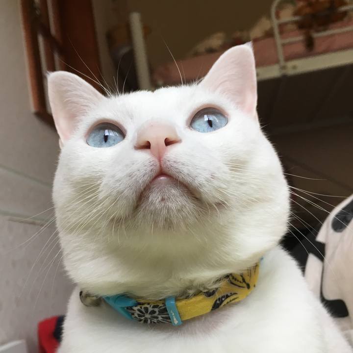 Db5df35e 0e8f 4319 a7b9 0da6ac35c3fb