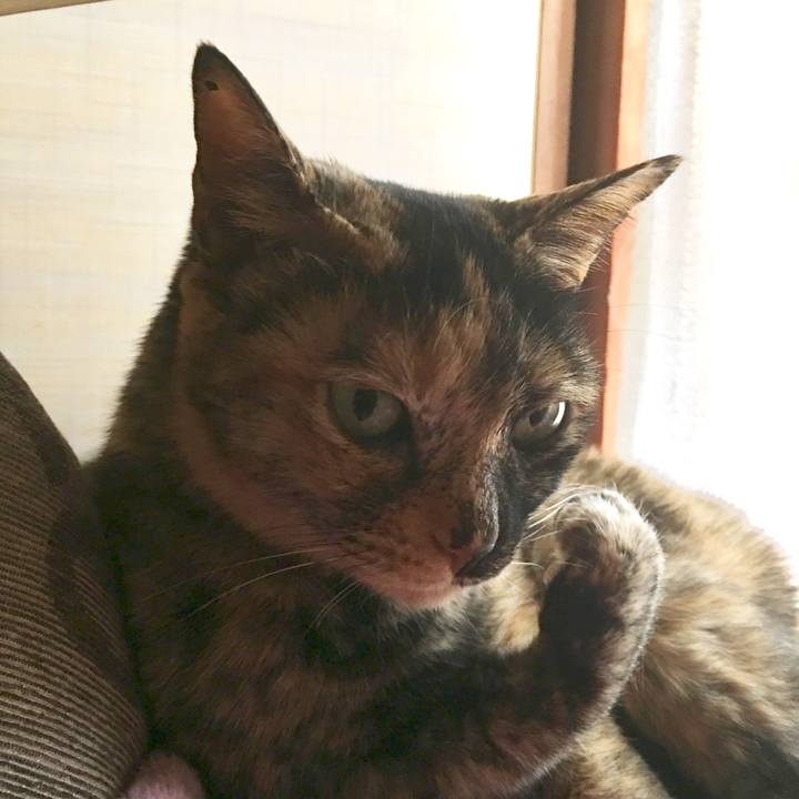 Db5e6005 58f1 4e04 8424 ce6d428010c7