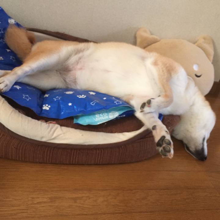 Db5ebdf4 2a5e 4ecf 8a67 d59c4770aab9