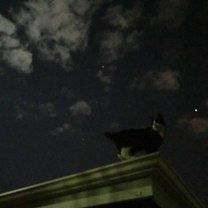 Db5f1cf9 43f6 424d ac64 c7f51d8adcca