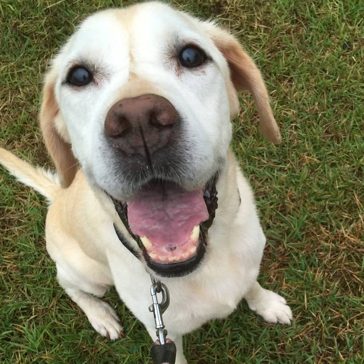 Db5fe690 5e0f 4cd2 8c66 9e548e98ff92