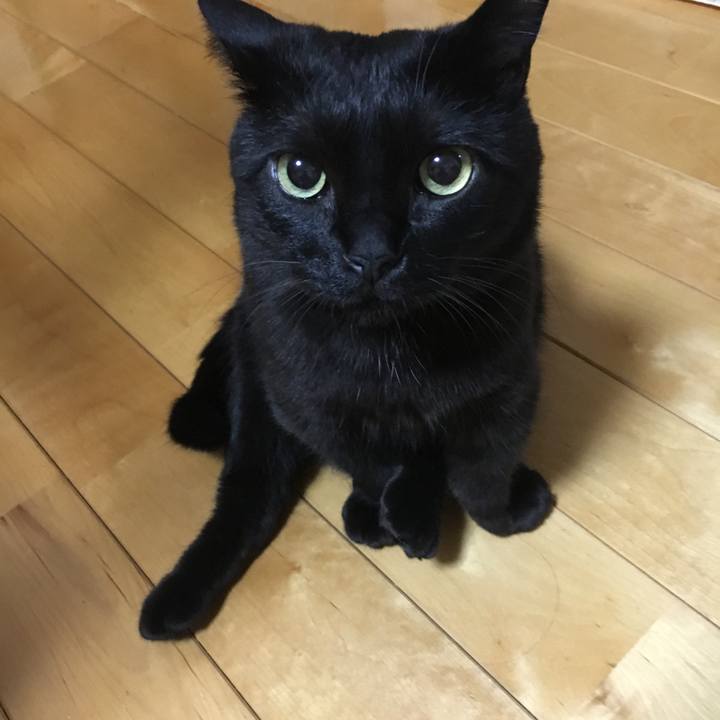 Db60d1f8 0006 4d00 af7e 0f3a0c7a4dc6