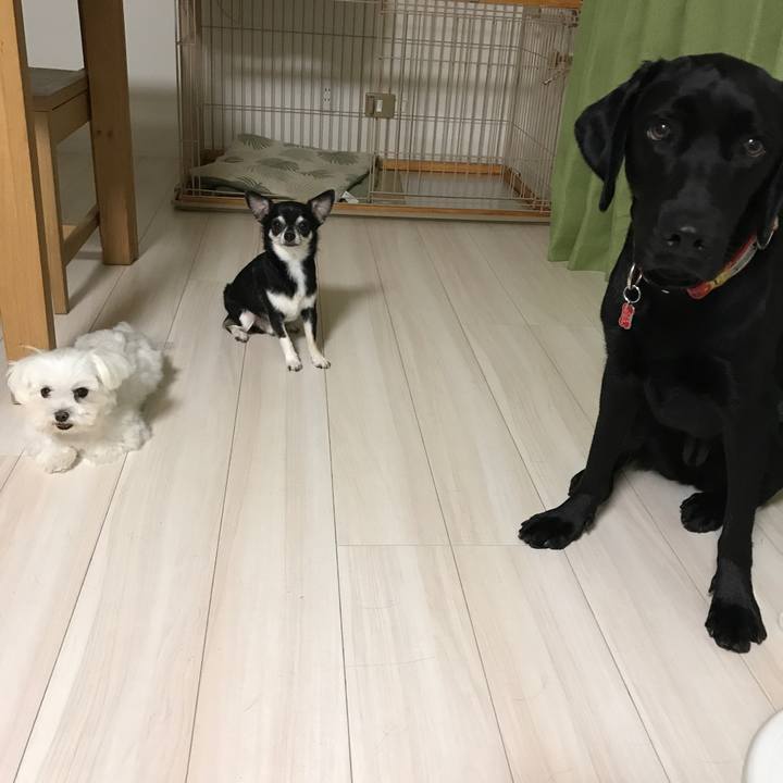 Db6103cc cb58 4f50 830c 4b600c8dcb9f