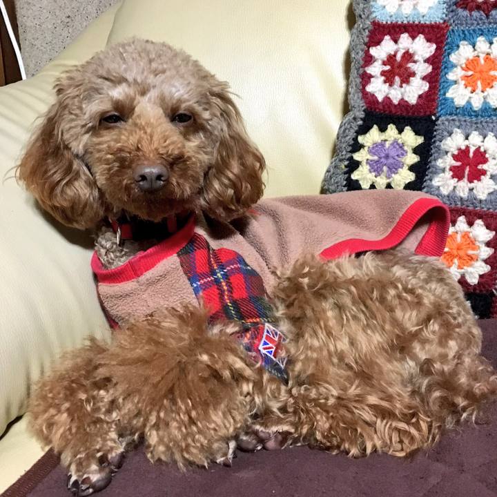 Db615806 ee8c 428e 8a5a 5f2b675c1576