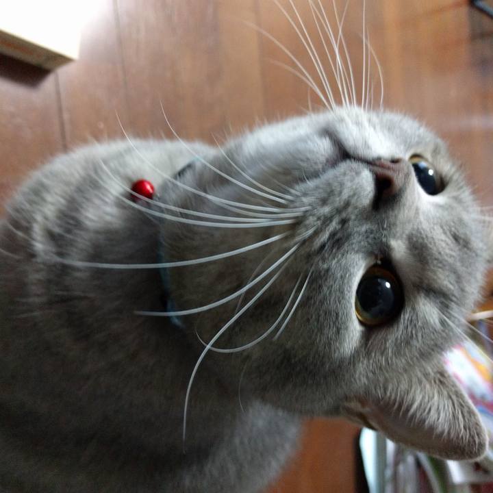 Db61bb55 a1df 4905 b4ce 5c3c8bc567a1