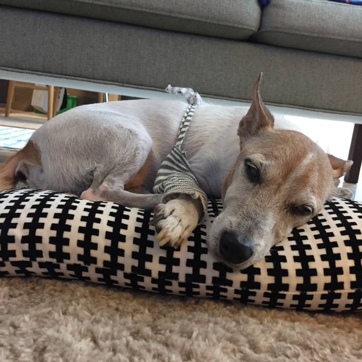 Db61e41d dd63 4f1c abad 93a9ec046e16