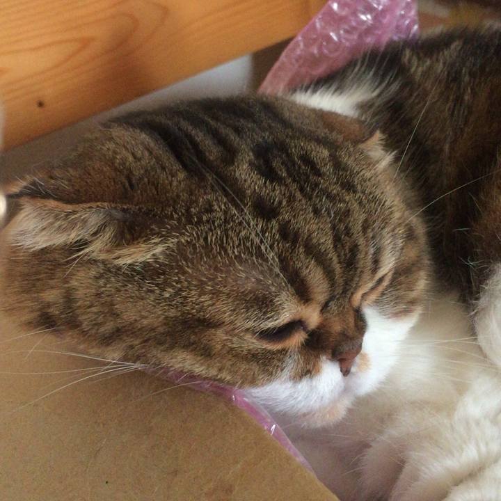 Db61e6d3 d651 4251 bec7 3a3e28d953e0