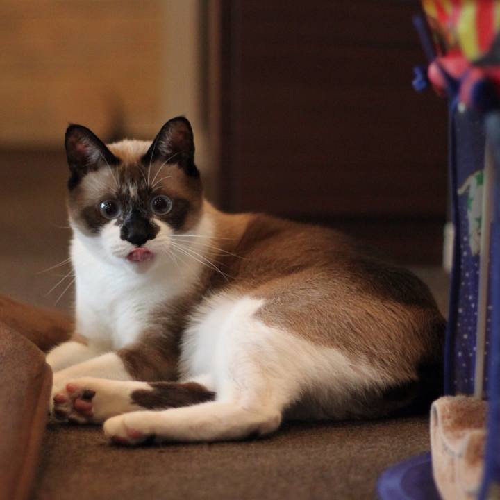 Db620347 5954 4cb1 9779 aeac35956aff