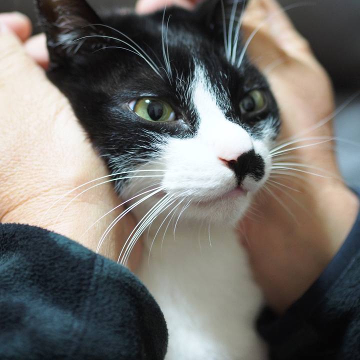 Db6215df 20d3 431f b198 816b434af582