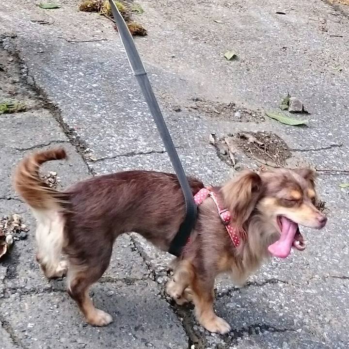 Db621a5f 52b8 4740 bef7 a88985f6ece0