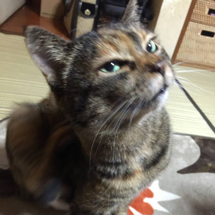 Db621fb9 1d1a 4519 a753 4871296154c3