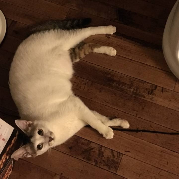 Db6273c7 709b 42d5 be6d 19d48babd3e0